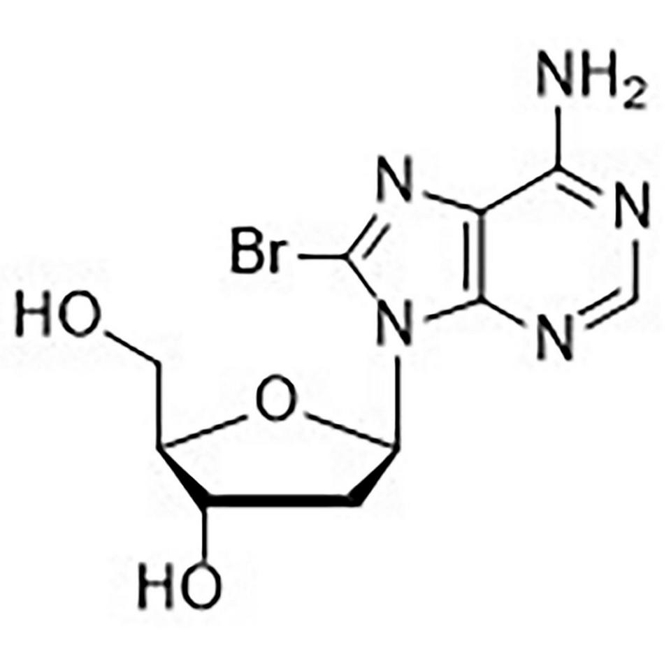 8-Bromo-2'-deoxyadenosine